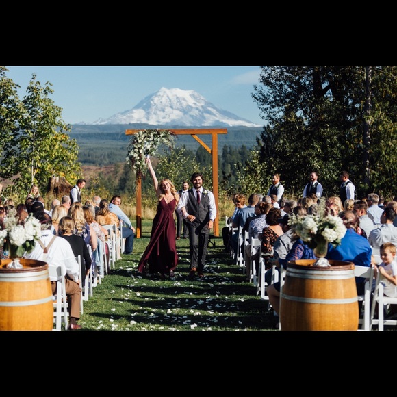 Birdy Grey Small Merlot bridesmaid dress - Picture 8 of 8